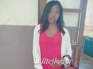 Lillteflower