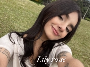 Lily_rosse