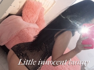 Little_innocent_bunny
