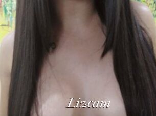 Lizcam