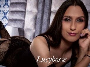 Lucybosse
