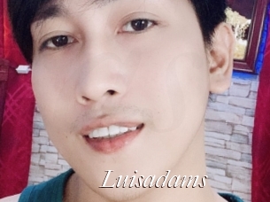 Luisadams