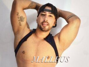MALLEUS