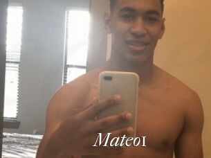 Mateo1