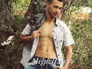 MiguelLarry