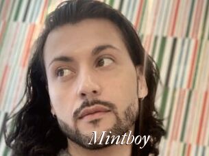 Mintboy