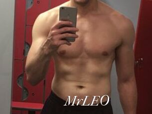MrLEO