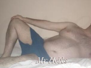 Mr_Hobbs