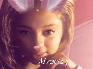 Mswet23
