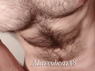 Marcobear18