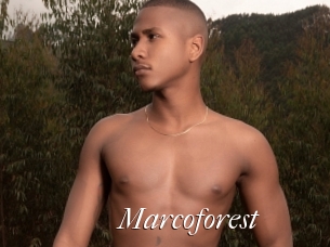 Marcoforest