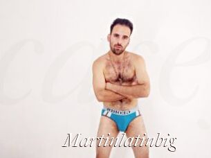 Martinlatinbig