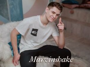 Marvinshake