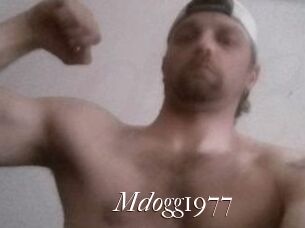 Mdogg1977