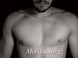 Mecchaud123