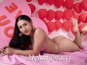 Megannfosterr