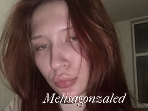 Melisagonzaled