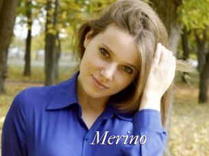 Merino