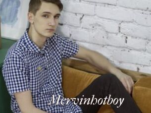 Mervinhotboy