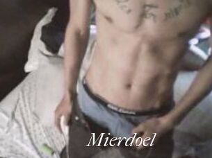 Mierdoel