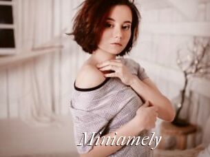 Miniamely