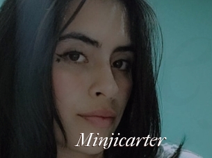 Minjicarter