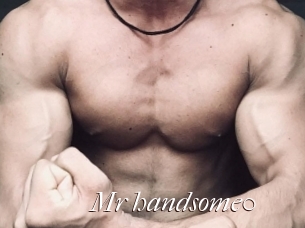Mr_handsome0
