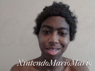 NintendoMarioMario