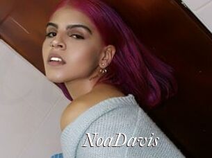 NoaDavis