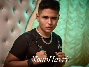 NoahHarris