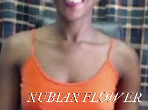 _NUBIAN_FLOWER_
