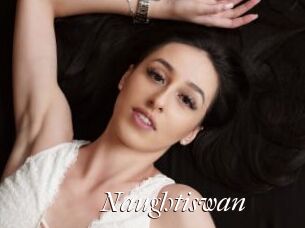 Naughtiswan