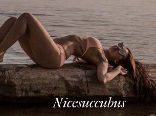 Nicesuccubus