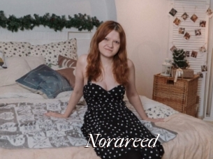 Norareed
