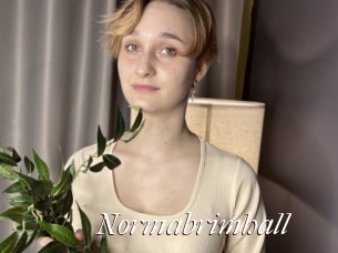 Normabrimhall