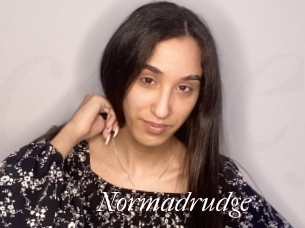 Normadrudge