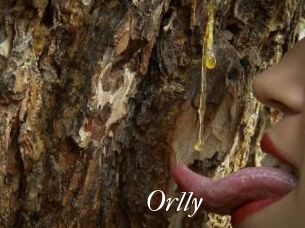 Orlly