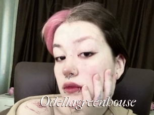 Odellagreenhouse