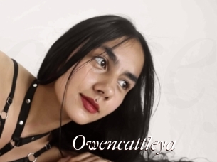Owencattleya