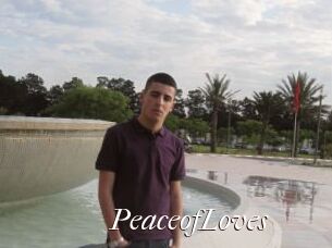 PeaceofLoves