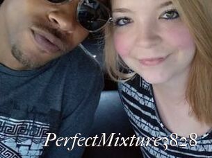 PerfectMixture3828