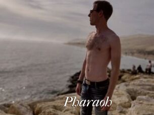Pharaoh