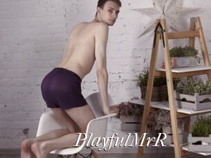 PlayfulMrR