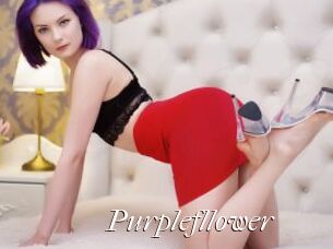 Purplefllower Cam Sexy