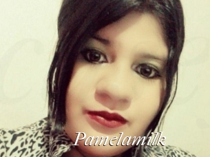 Pamelasuite