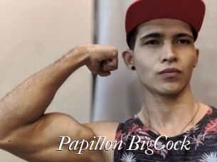Papillon_BigCock