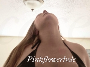 Pinkflowerhole