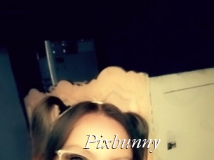 Pixbunny