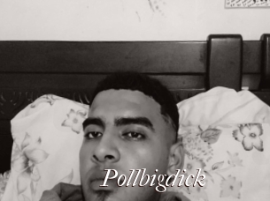 Pollbigdick