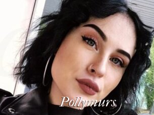 Pollymurs
